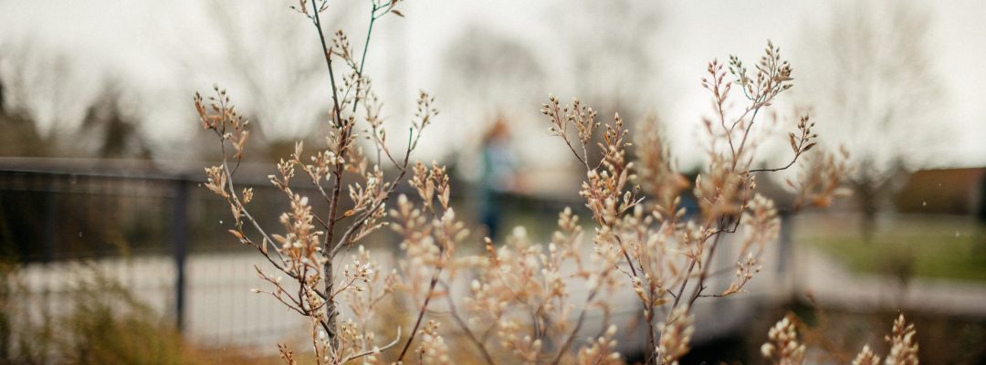 Die Kreativstatt. Dein Ort für kreative Ideen und Freude-Verschenken.